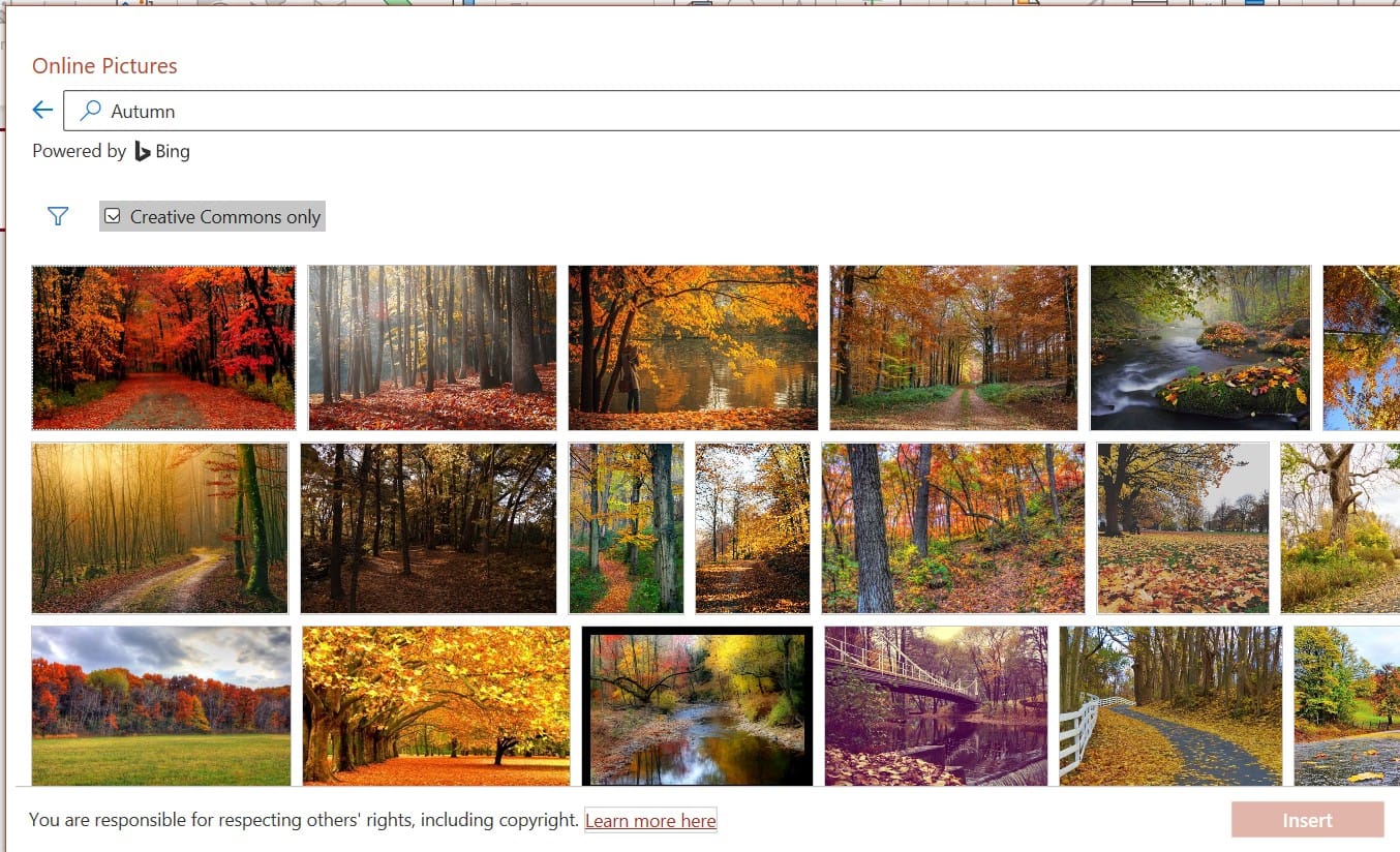 chèn hình ảnh qua Online