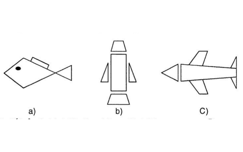 Bài tập đếm số tứ giác. (Ảnh: Sưu tầm Internet)