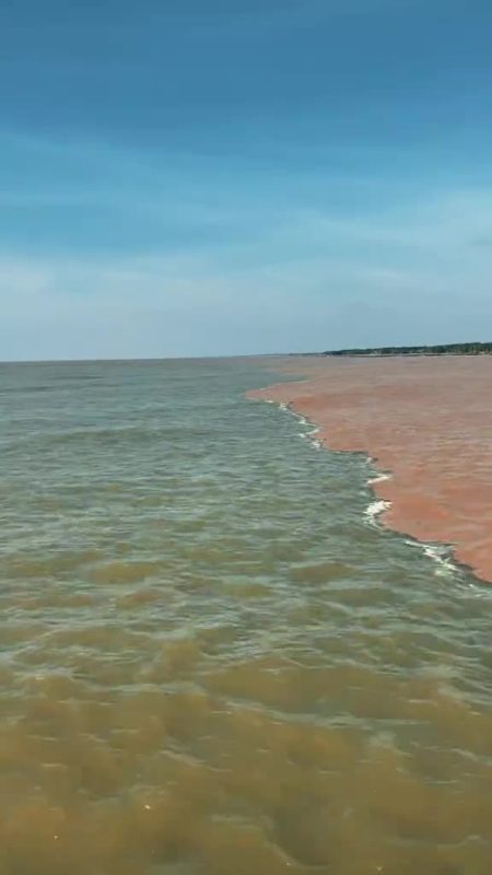 Xôn xao hiện tượng “nước lạ” chia đôi màu nước trên vùng biển Tây Cà Mau