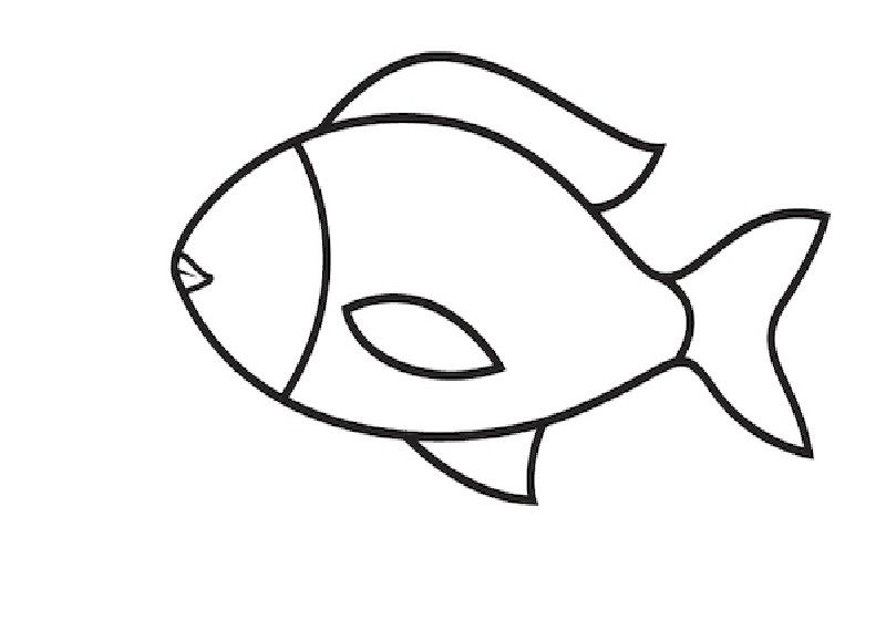 các bước vẽ con vật đơn giản