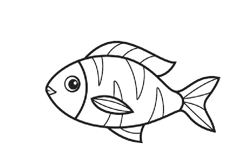 vẽ con vật đơn giản dễ thương