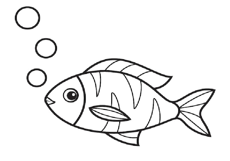 vẽ con vật hoạt hình