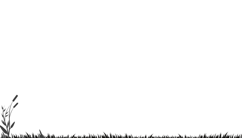 Hình nền trắng trơn