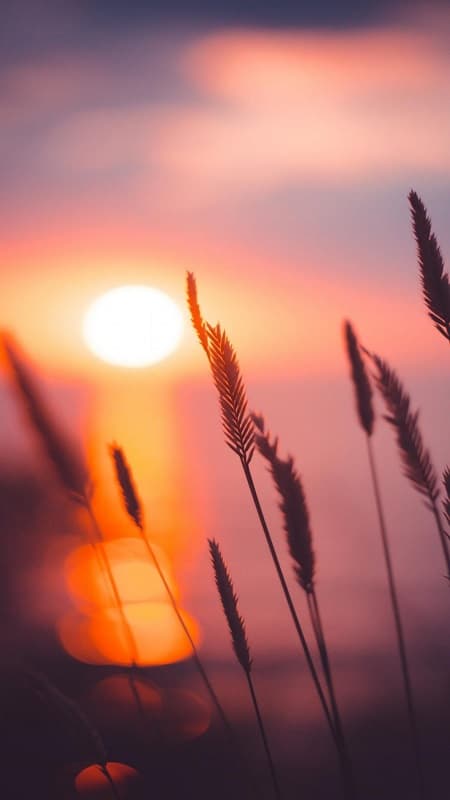 anh-hoang-hon-dep-29