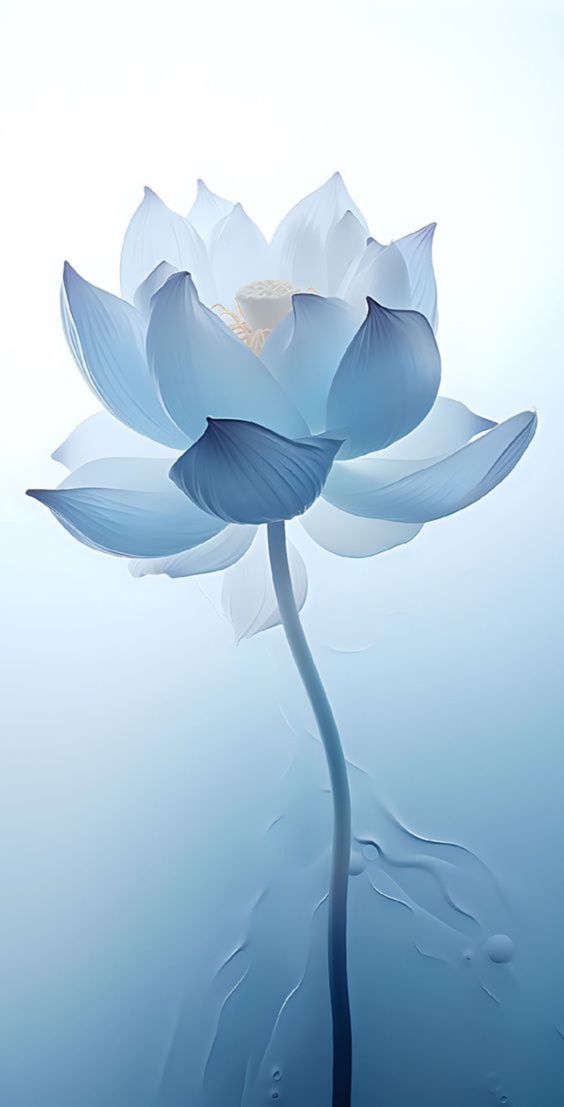 hình nền hoa sen màu xanh