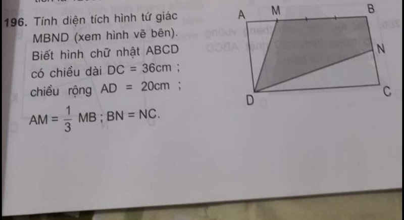 Trong chương trình toán học cấp 1, có nhiều dạng bài tập về hình tứ giác. (Ảnh: sưu tầm internet)