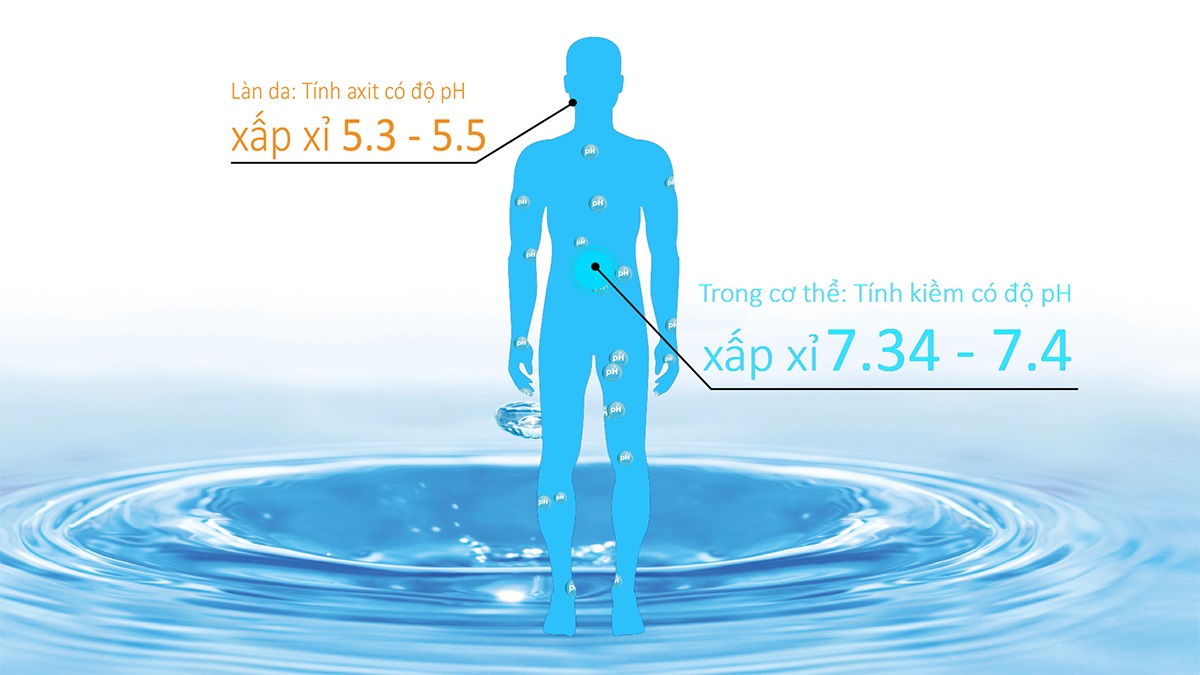 Môi trường trong cơ thể người có tính kiềm sẽ tốt cho các tế bào