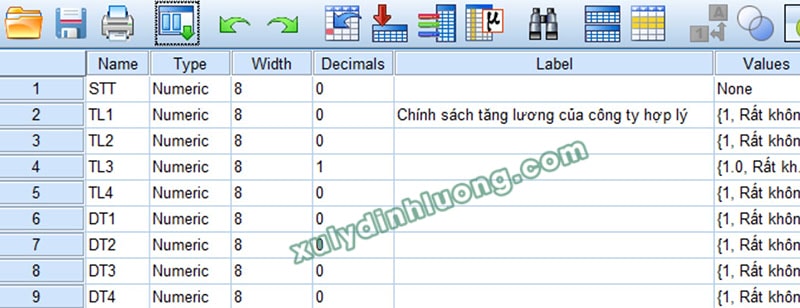 khai báo biến trên SPSS