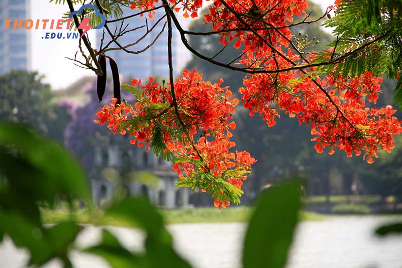 đặc điểm của khí hậu nước ta là