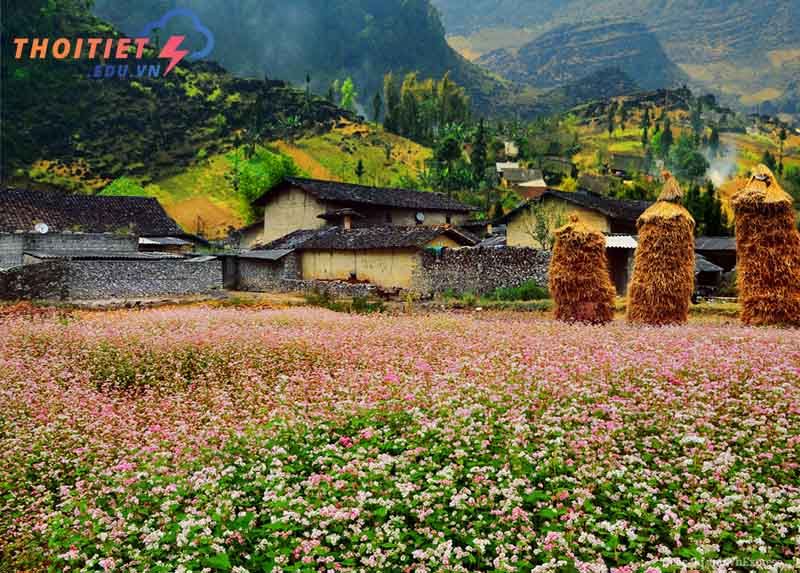 nước ta có khí hậu như thế nào