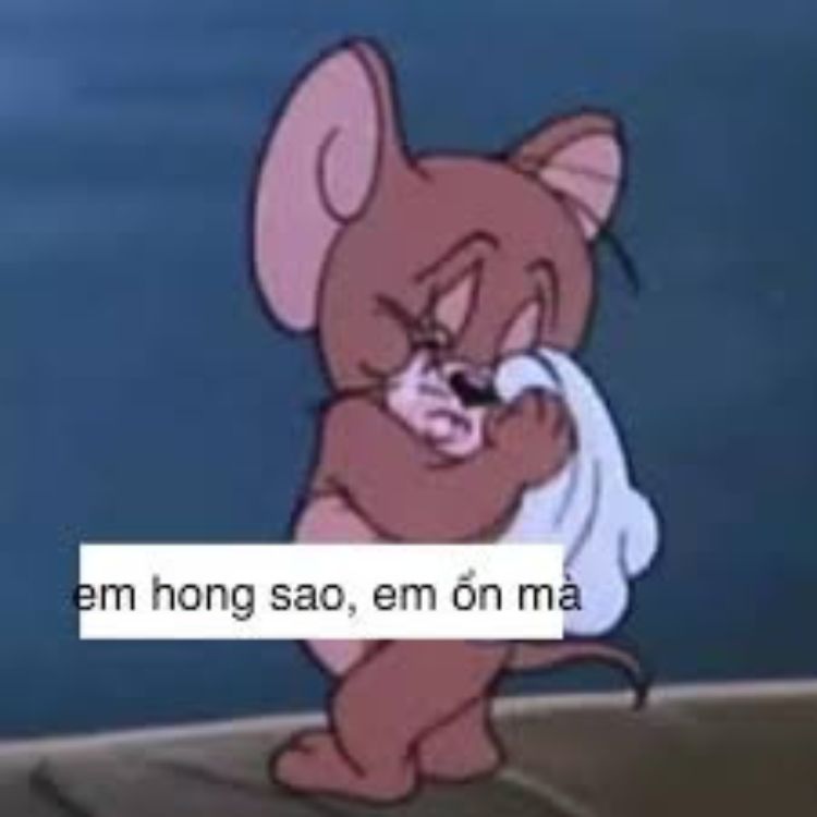 meme Em hông sao, em ổn mà!