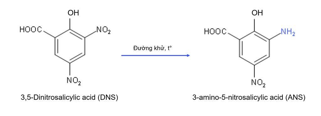 Đường khử là đường gì?