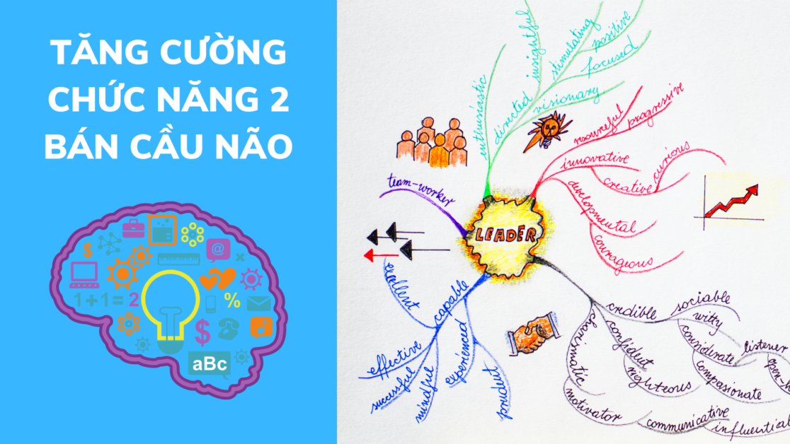 sơ đồ tư duy sáng tạo