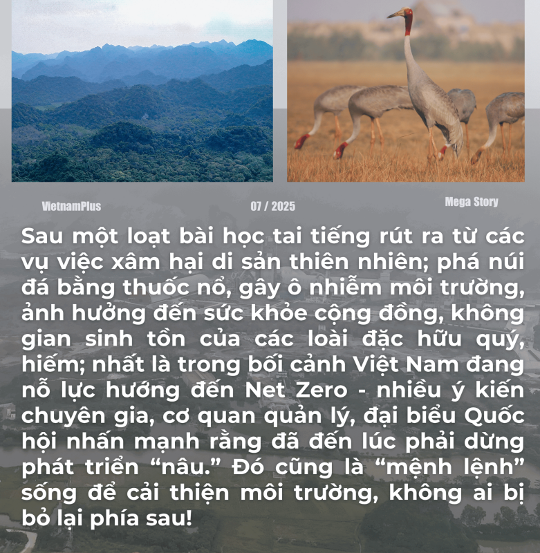 Bài 3. Lựa chọn phát triển giữa ximăng với sinh cảnh: Cốt ở tư duy của người đứng đầu!