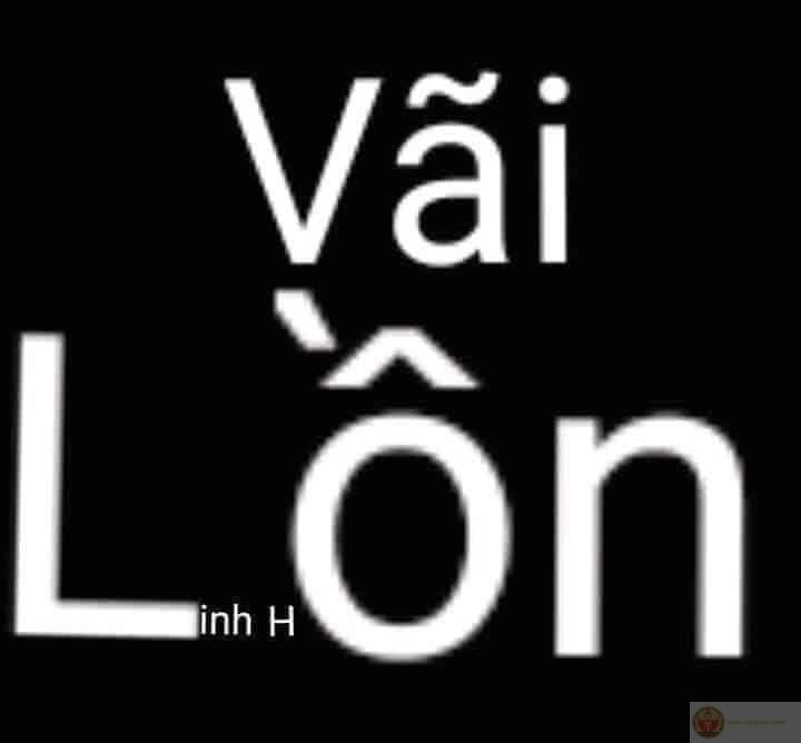 Sự kết hợp giữa cái l và con c tạo nên chất hài khó đỡ