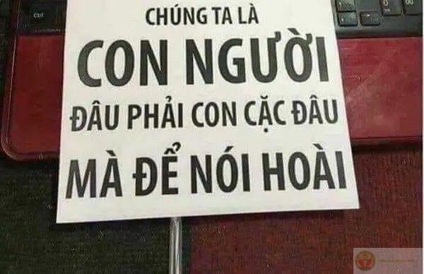 Ảnh có cái con cak