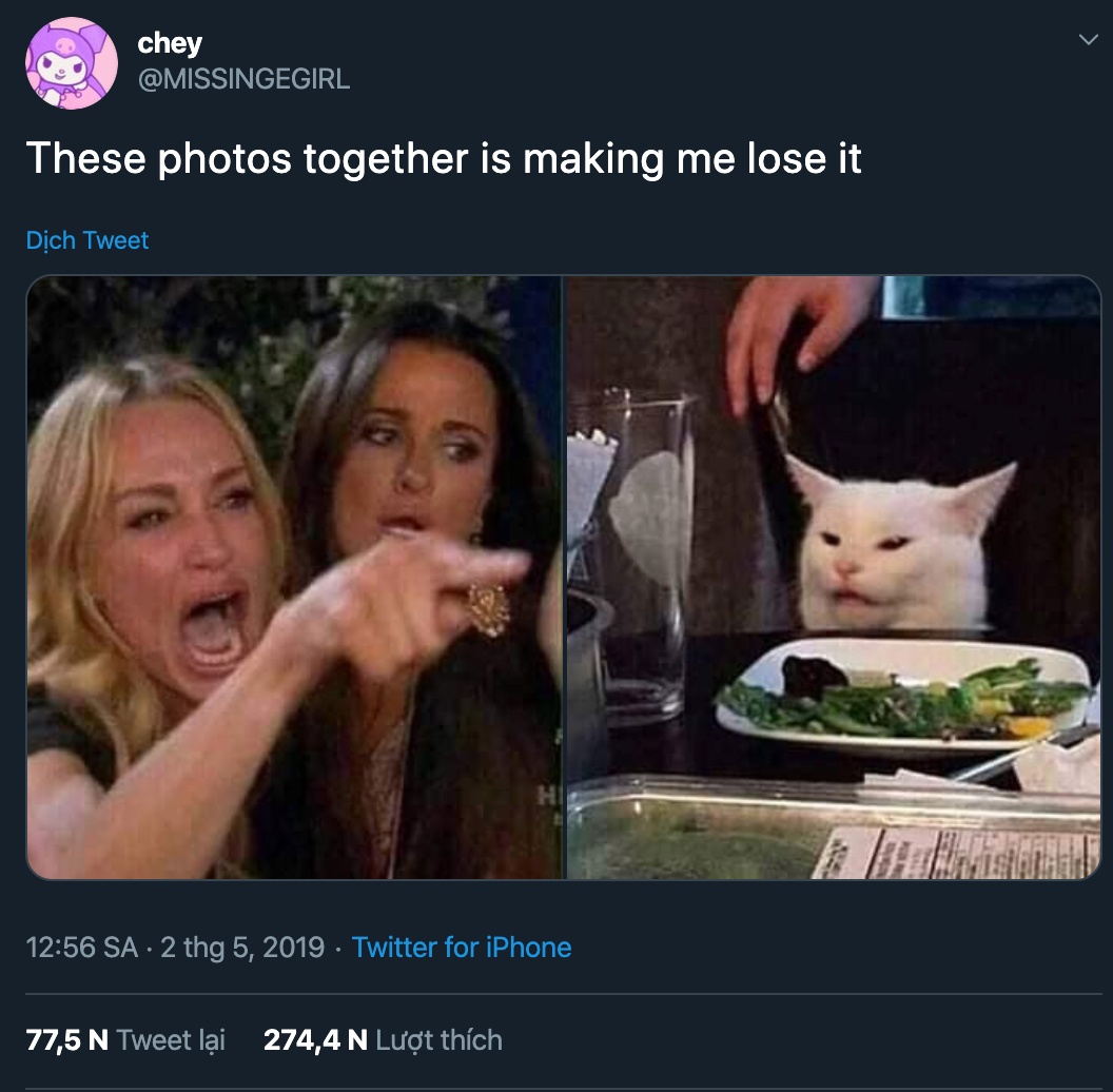 meme co gai va chu meo anh che 2019 anh 1