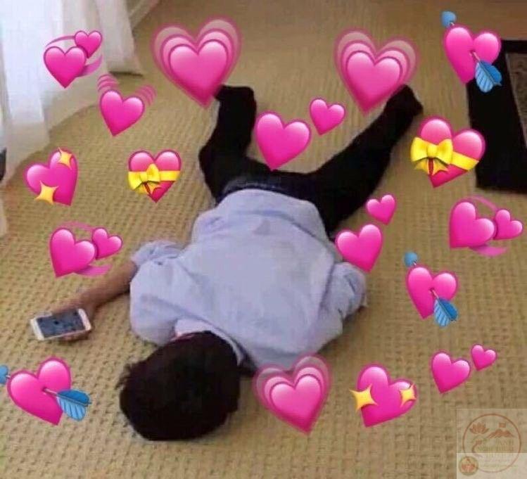 Meme gục ngã vì yêu