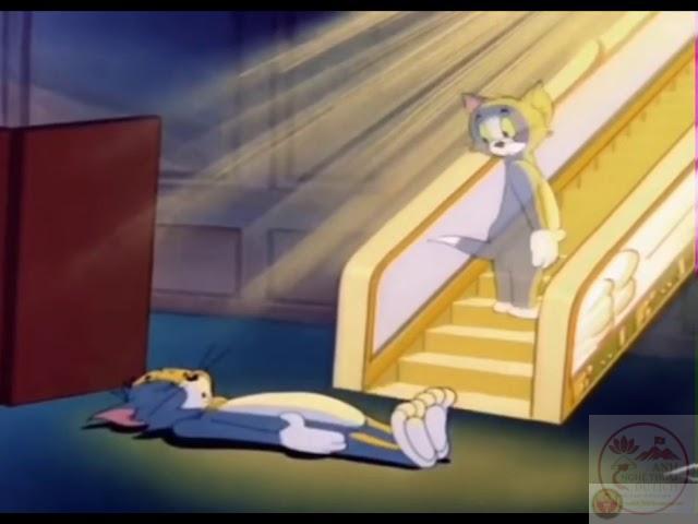 Cười ra nước mắt với hình ảnh gục ngã trước cánh cổng sáng rực đầy nuối tiếc