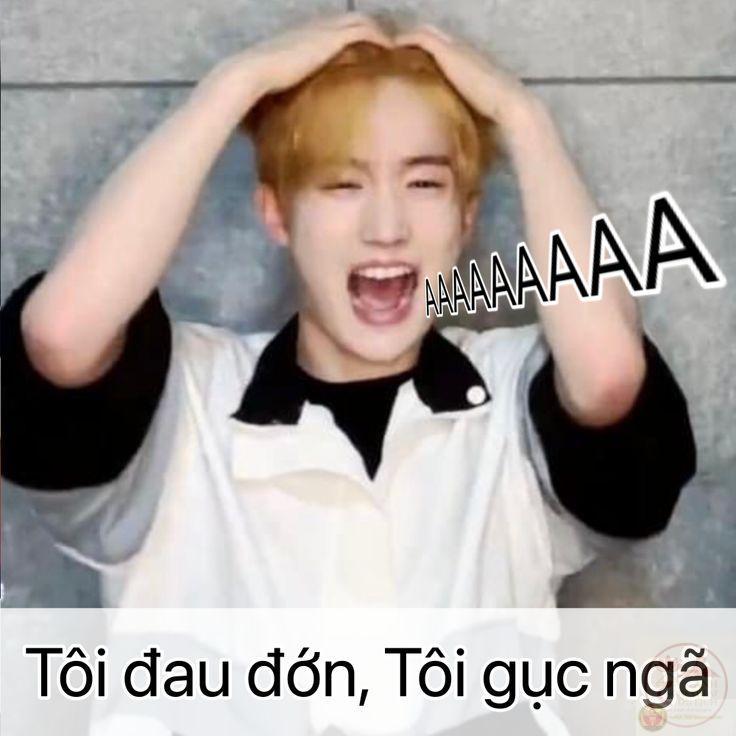 Meme gục ngã – 160+ ảnh chế tôi đau đớn, tôi gục ngã