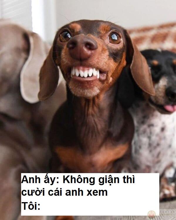 Cười như chưa từng bị deadline đè sấp mặt