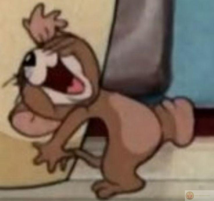 Cười như thể mai không còn được cười