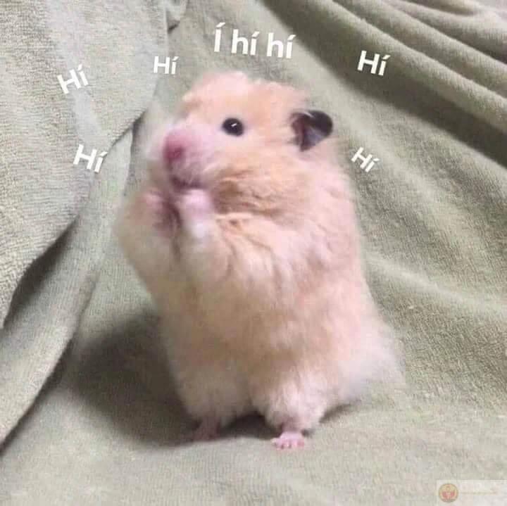 Nghe giọng nghiêm túc mà câu nói làm cười ngất