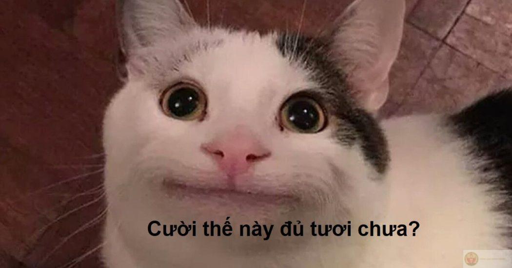 Meme cười nham hiểm