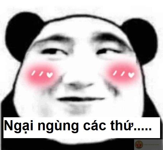 Chỉ là meme thôi mà, cười gần chết