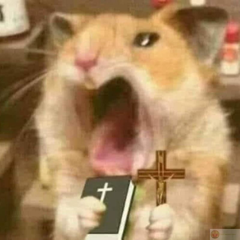 Tui cười mà tay run, thánh giá không đủ xài