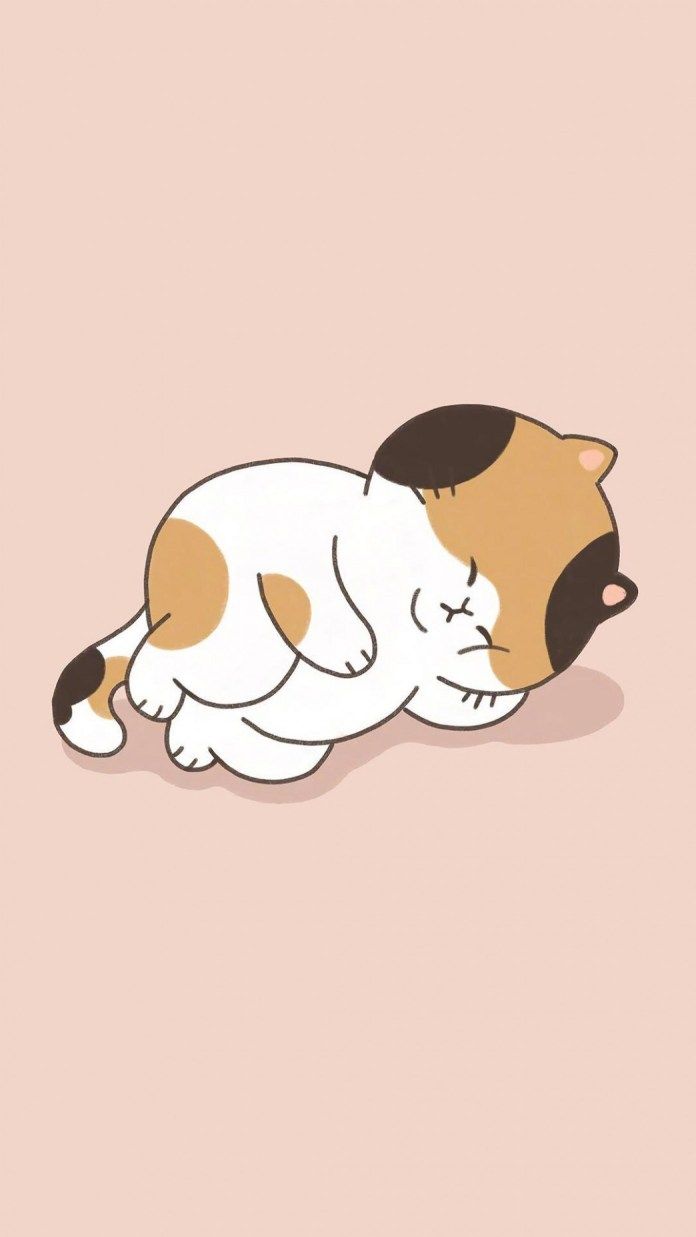 Hình mèo chibi mập cute