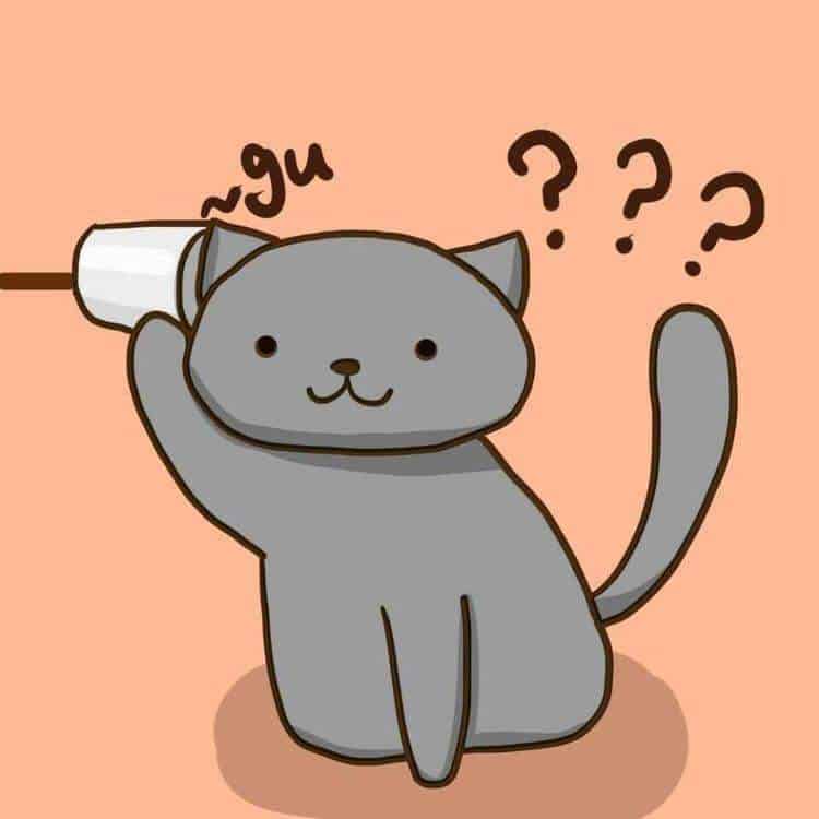 Hình mèo chibi mập cực cute