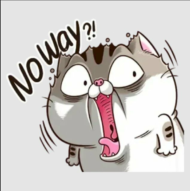 Mèo chibi mập cute đẹp nhất