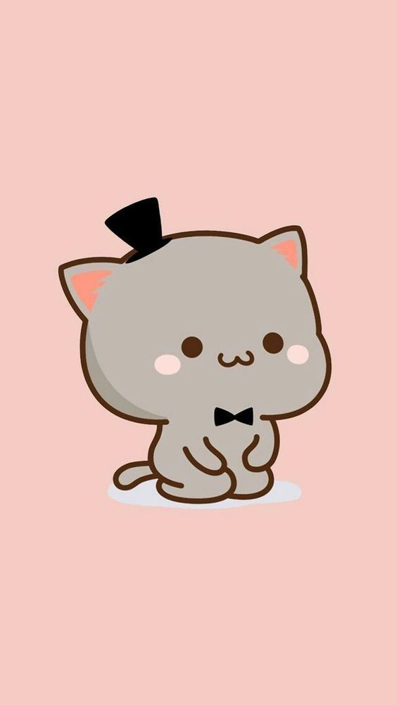 Mèo chibi mập dễ thương đẹp