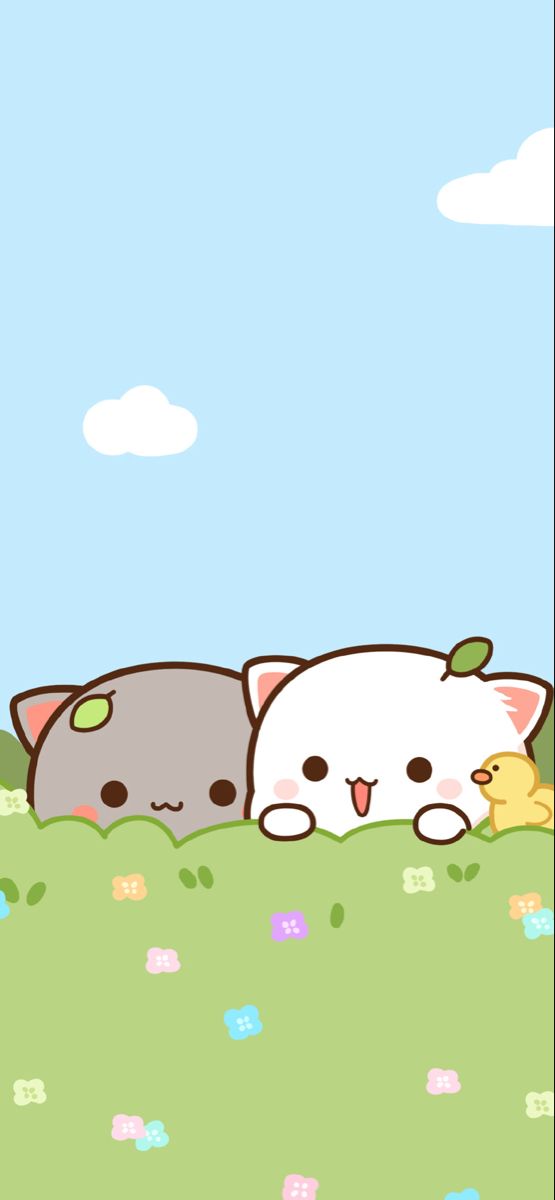 Mèo chibi mập dễ thương siêu đẹp