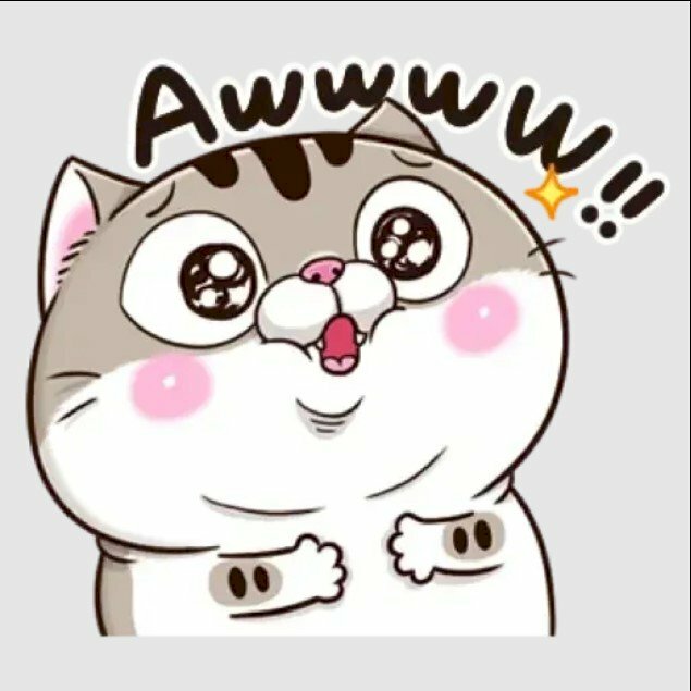 Mèo chibi mập dễ thương