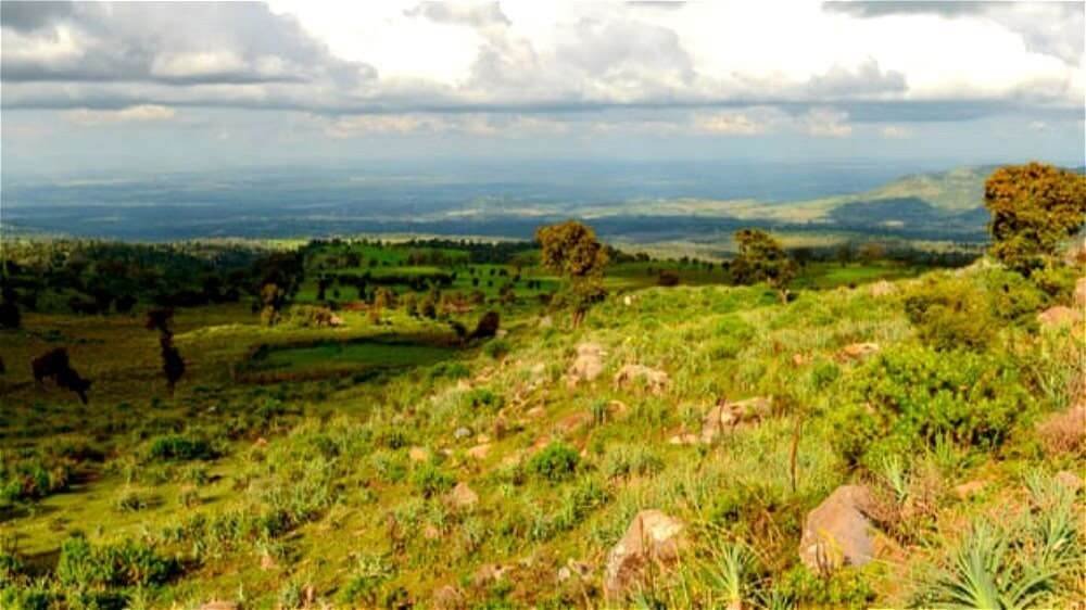 Cần chung tay góp sức bảo vệ môi trường ở châu phi