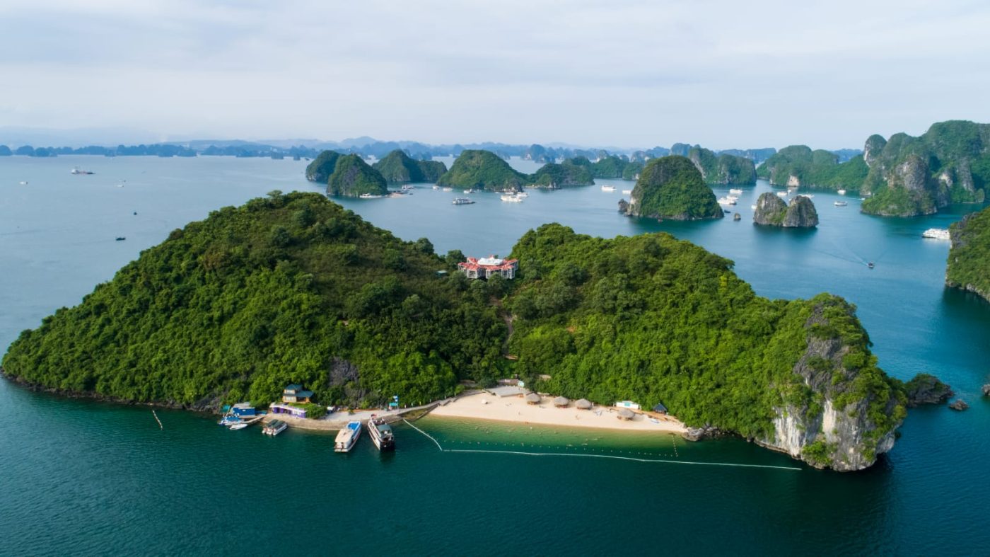 Monkey Island in Vietnam: Where Nature and Wildlife Converge in Playful Harmony