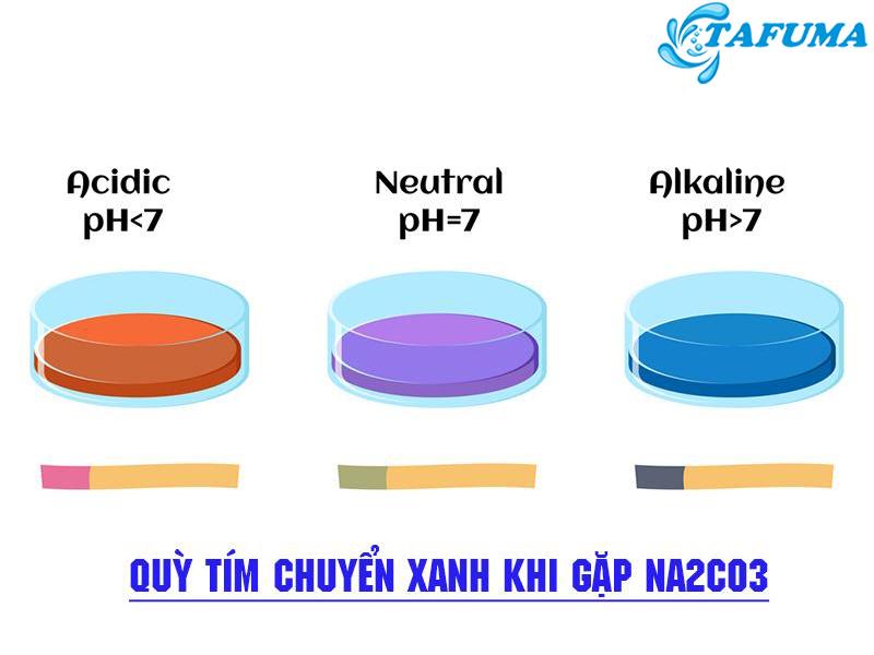 quỳ tím chuyển xanh khi gặp Na2CO3