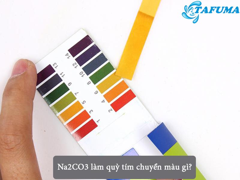 Na2CO3 Làm Quỳ Tím Chuyển Màu Gì? Có Làm Quỳ Tím Hóa Xanh Không?