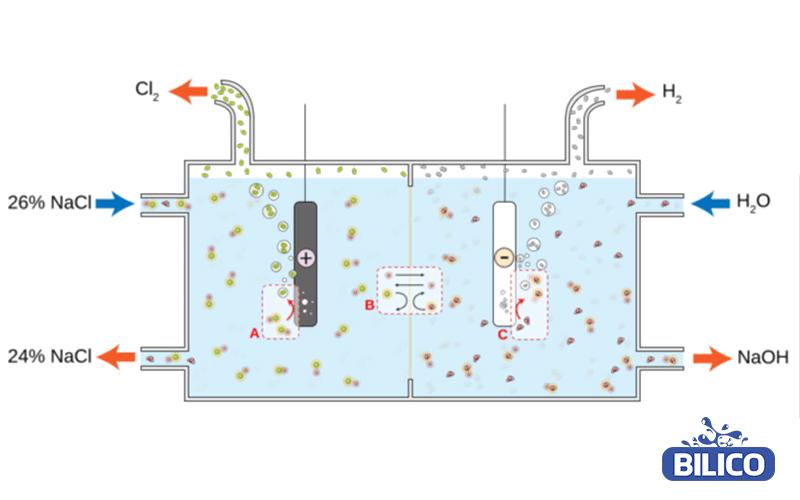 điện phân dung dịch nacl