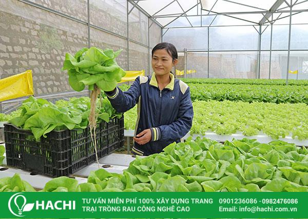 Việt Nam có sự đa dạng lao động về nhiều mặt