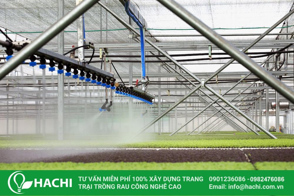 Trồng trọt và sản xuất nông sản tại Việt Nam