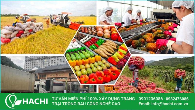 Nông sản Việt chinh phục nhiều thị trường khó tính