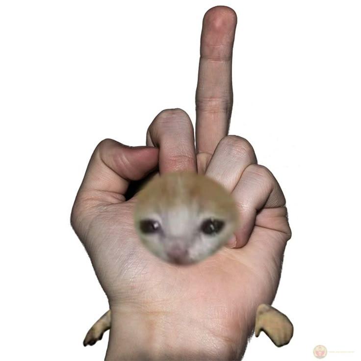 Ngón giữa meme thường được dùng để châm biếm các tình huống hài hước vui nhộn