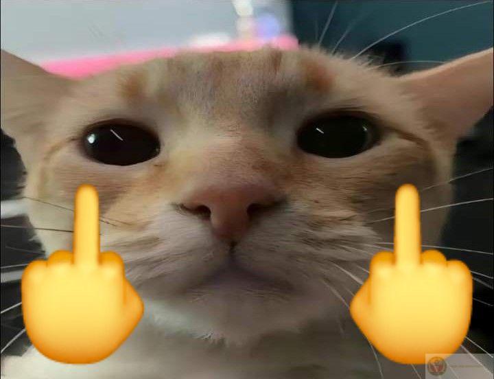 Một cú fuck you có thể làm cuộc trò chuyện bùng nổ trong vài giây