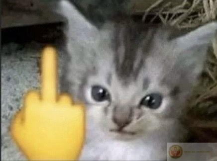 Ảnh ngón giữa vô tri mang đến cảm giác vừa ngầu vừa hài hước khó cưỡng lại