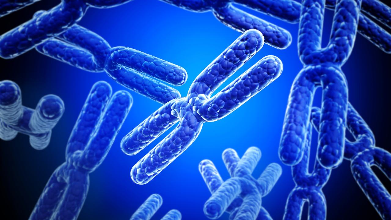 Nhiễm sắc thể X được truyền từ mẹ