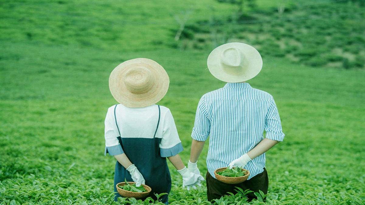 Các câu thơ thả thính độc đáo, ấn tượng