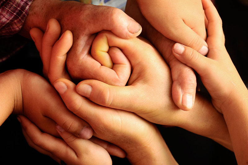 chup anh ban tay gia dinh